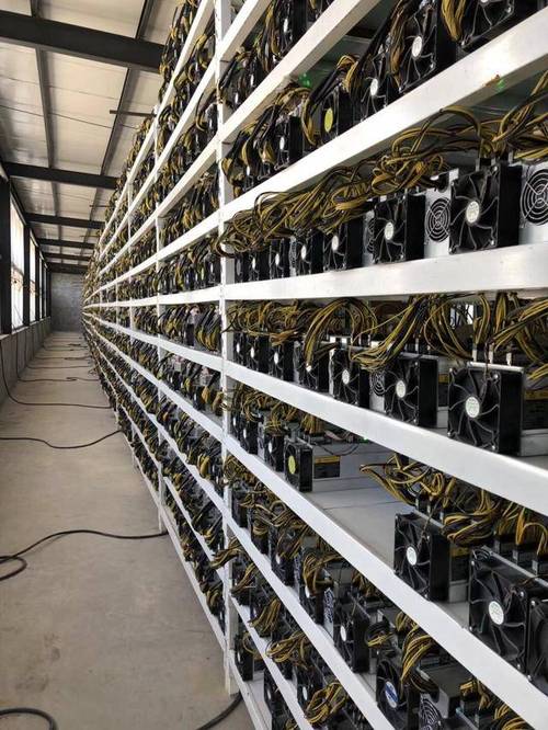 A large-scale mining farm with numerous ASIC miners operating, showcasing the scale of a hosted mining facility.