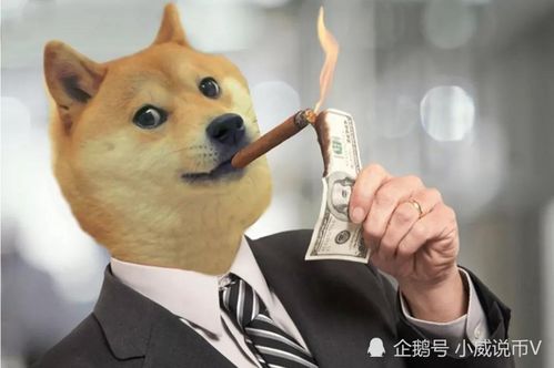 A vibrant image of Dogecoin mining setup showcasing enthusiastic community members and their hosted rigs